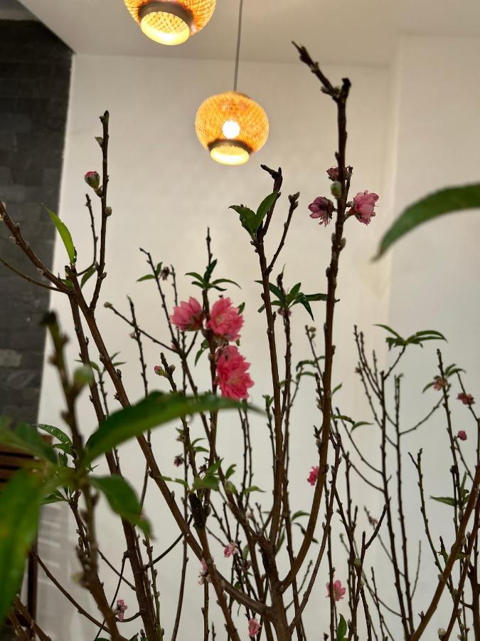 Vang Anh Homestay Hoi An Dış mekan fotoğraf